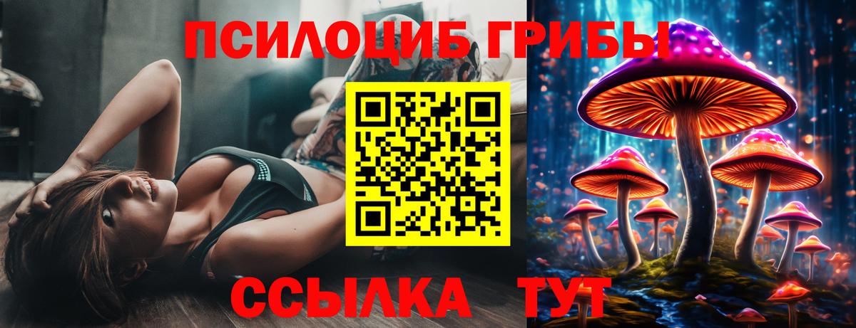 Галлюциногенные грибы MAGIC MUSHROOMS Северск